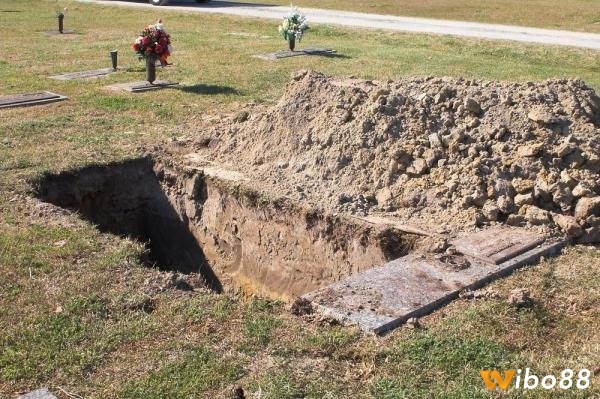 Chủ mộng ghi nhớ trải nghiệm trong mơ để luận giải cụ thể