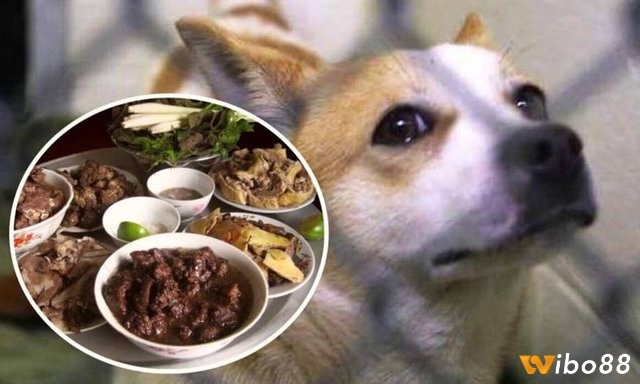 Mơ thấy làm thịt chó xảy ra nhiều bối cảnh khác nhau