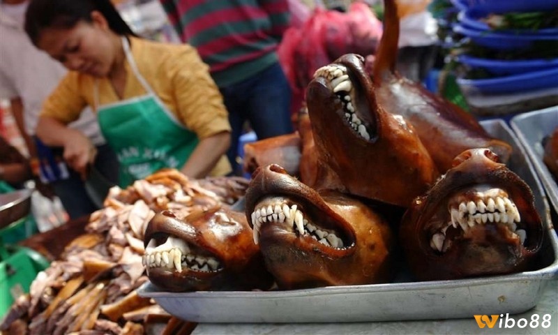 Giải mã chiêm bao giúp tìm ra dự báo tương lai