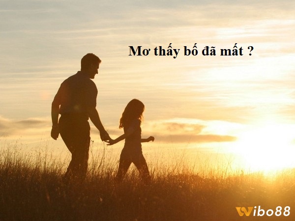 Theo chân Wibo88 để giải mã mơ thấy bố chồng chết đánh con gì