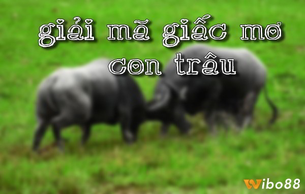 Giải mã chi tiết điềm báo từng giấc mộng mơ thấy giết trâu đánh con gì.