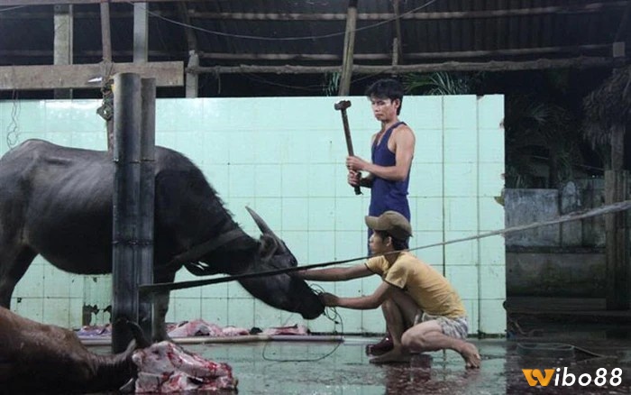 Bạn là một người khá bốc đồng ở trong một số trường hợp