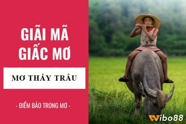 Cùng Wibo88 tìm hiểu mộng nằm mơ thấy giết trâu có điềm báo gì