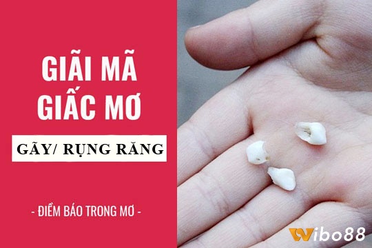 Theo chân Wibo88 tìm Chiêm bao nằm ngủ mơ thấy rụng răng có điềm báo