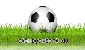 Cách đọc kèo bóng đá tài xỉu chuẩn xác cho tân thủ