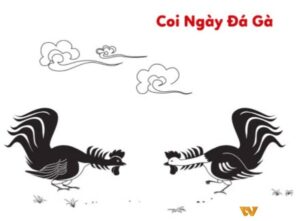 Cách xem ngày đá gà chuẩn nhất để tăng cơ hội thắng