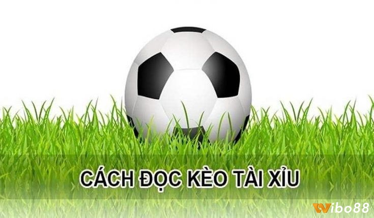 Cách đọc kèo tài xỉu 2.75 dành cho người chơi mới