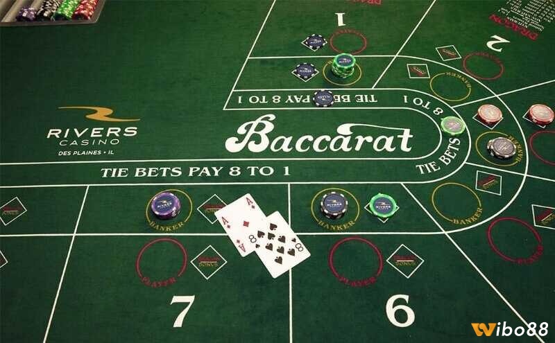Kỹ thuật xào và chia bài chuẩn xác đảm bảo mỗi ván baccarat diễn ra công bằng tuyệt đối