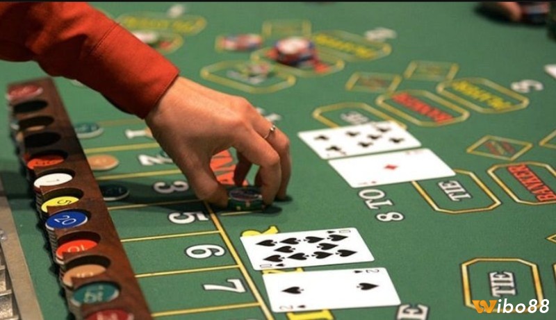 Theo dõi bảng cược như dân chuyên – học cách đọc bài để chơi có chiến lược hơn