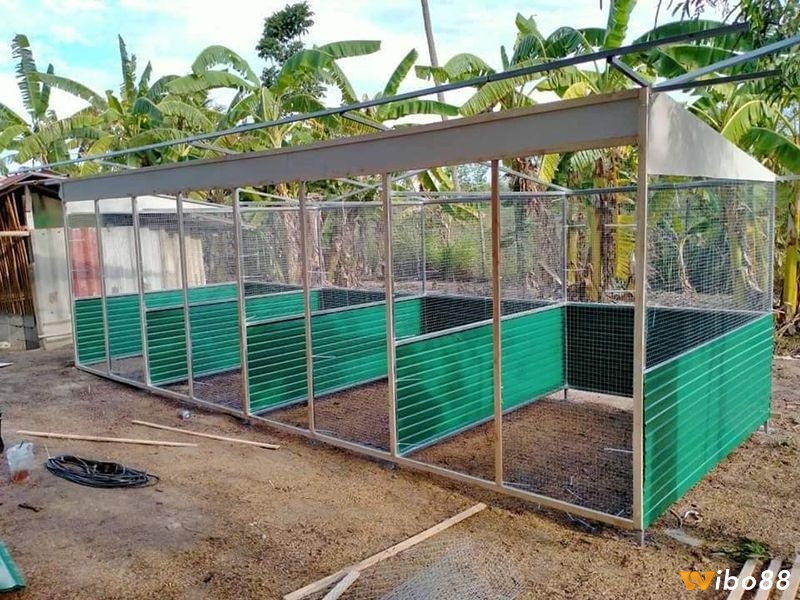 Mái che là phần quan trọng giúp bảo vệ gà khỏi nắng mưa duy trì nhiệt độ ổn định trong chuồng