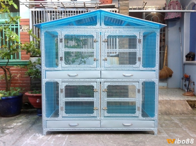 Việc vệ sinh chuồng chạy giúp duy trì môi trường sạch sẽ, ngăn ngừa dịch bệnh và đảm bảo sức khỏe cho gà