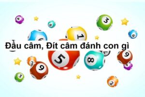 Khi đầu lô câm hôm sau đánh con gì - Bí quyết xử lý đầu câm