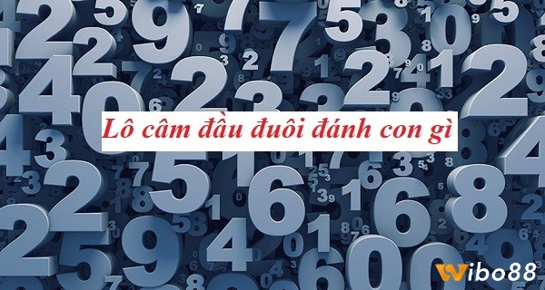Khi đầu lô câm hôm sau đánh con gì phân tích dự đoán theo chiến lược nuôi tăng tiến