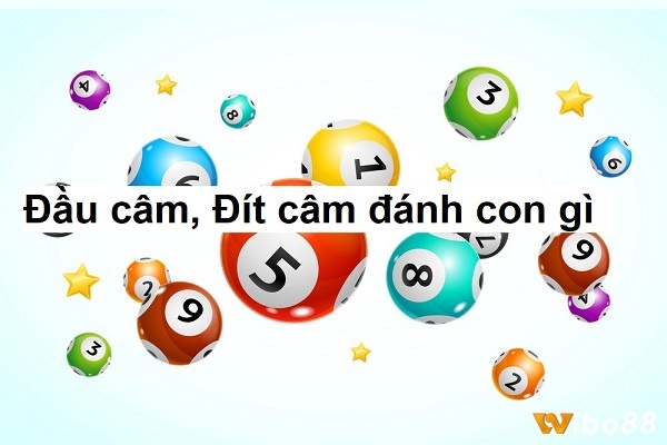 Khi đầu lô câm hôm sau đánh con gì và các câu hỏi liên quan được giải đáp nhanh