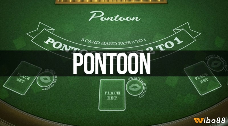 Cùng Wibo88 chúng tôi tìm hiểu về trò chơi Pontoon là gì nhé