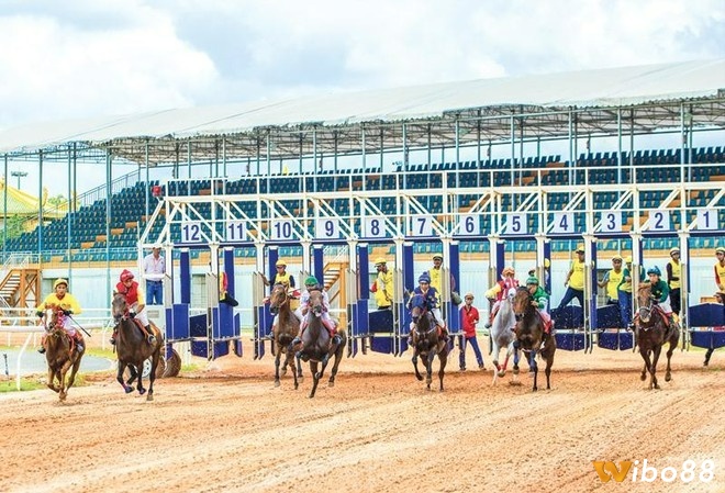 Hiểu rõ điều kiện thời tiết và vị trí xuất phát giúp bạn điều chỉnh dự đoán sát thực tế hơn