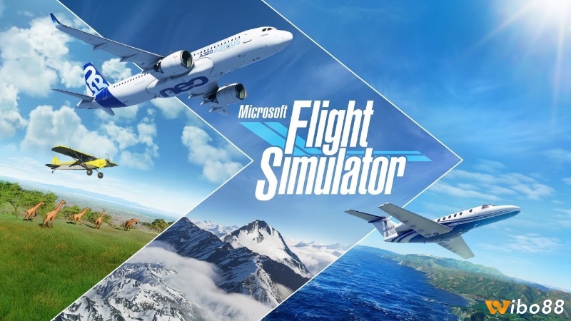 Game bắn máy bay online có nhiều thể loại phong phú, phù hợp với mọi đối tượng từ người mới chơi đến những game thủ chuyên nghiệp