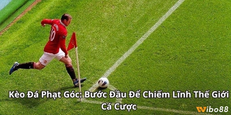 Cược theo cảm tính hoặc chạy theo số đông dễ dẫn đến thua lỗ nặng nề.