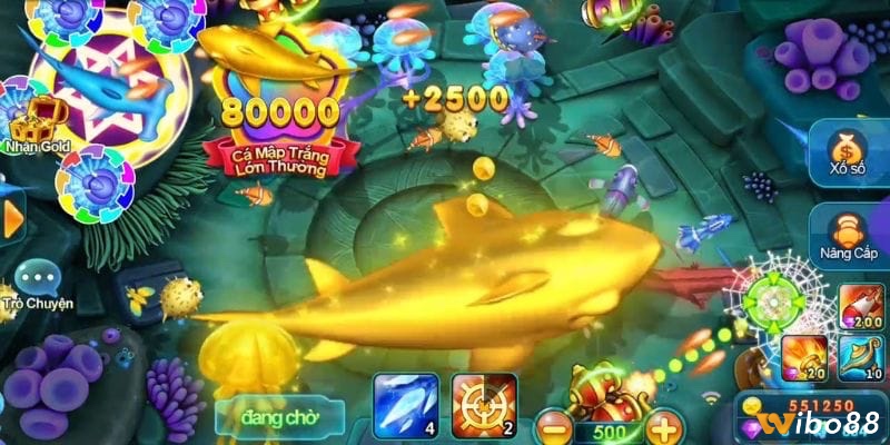 Mẹo chơi bán cá rùa xanh chuẩn xác nhất được các game thủ chia sẻ