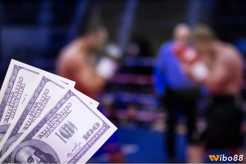 Thể trạng và chiến thuật quyết định phong độ của võ sĩ – yếu tố then chốt trong việc dự đoán kết quả trận đấu trong cá cược quyền anh 2025.