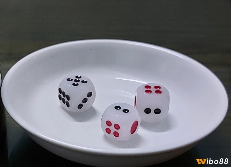 Người chơi đặt cược dựa trên tổng điểm ba viên xí ngầu sau khi lắc.