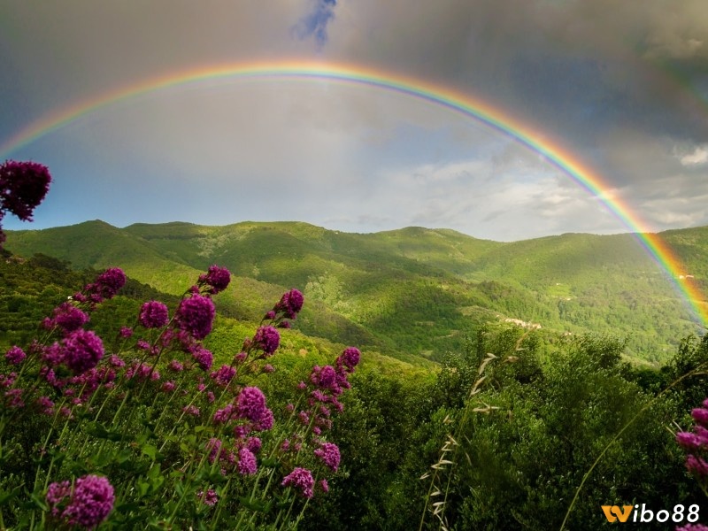 Giấc mơ thấy cầu vồng trên núi là điềm báo về những điều tốt lành sắp đến với bạn