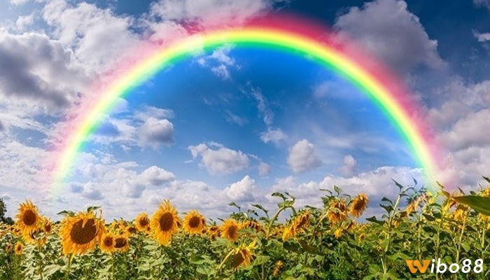Giải mã giấc mơ thấy cầu vồng số mấy sẽ giúp bạn tìm ra các con số may mắn liên quan để có thể chơi lô đề hiệu quả mỗi ngày