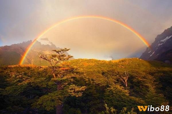 Giải mã giấc mơ thấy cầu vồng số mấy cũng như ý nghĩa và điềm báo của từng giấc mơ khác nhau