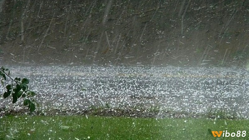 Mơ thấy mưa to nặng hạt là điềm báo về những cảm xúc bị dồn nén và tích tụ trong bạn