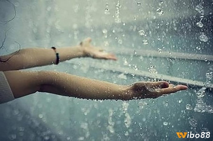 Mơ thấy đi cùng người yêu dưới mưa phản ánh những ý nghĩa về cảm xúc sâu sắc trong tình cảm của bạn