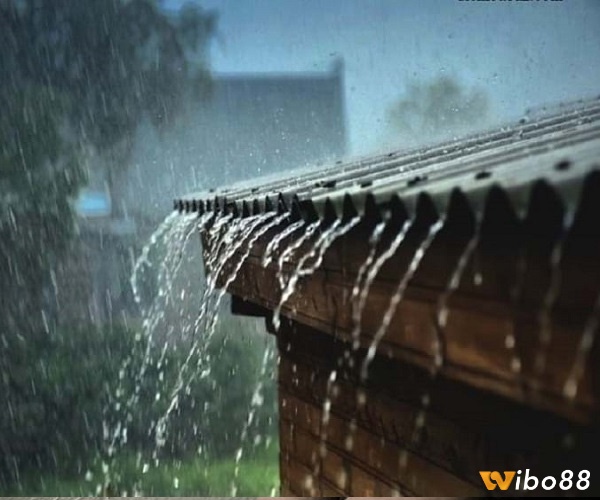 Giải mã giấc mơ thấy mưa to đánh con gì mang lại cho bạn nhiều con số may mắn khác nhau