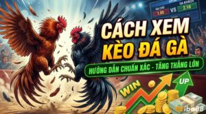 Cách xem kèo đá gà: Hướng dẫn đọc tỷ lệ và kinh nghiệm