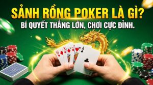 Sảnh rồng Poker là gì? Nắm bắt bí quyết thắng lớn, chơi vui